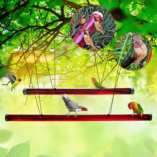 Hanging Long Tube Red Bird Feeder Hanging Hummingbird