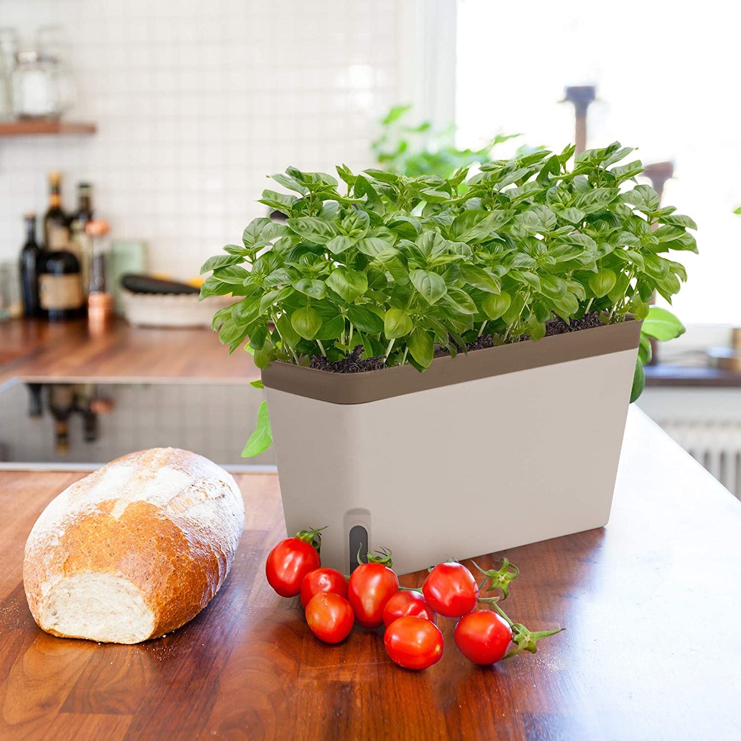 Window Herb Planter Box Rectangular Self Watering Indoor Garden For Kitchens Grow Plants