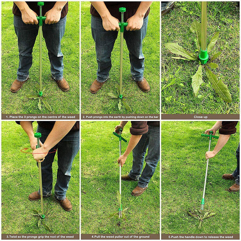Detachable Grass Weed Puller
