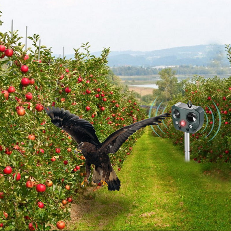 Solar Ultrasonic Rodent Repellant